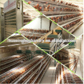 China factory supplier wholesale chicken prices